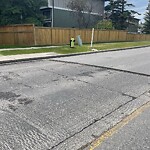 Road Repair at 8451 Silver Springs Rd NW