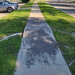 Sidewalk or Curb - Repair at 1188 137 Av SE