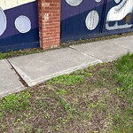 Sidewalk or Curb - Repair at 84 Coventry Gr NE