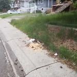 Debris on Street, Sidewalk, Boulevard at 2734 9 Av SE