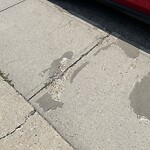 Sidewalk or Curb - Repair at 4717 19 Av NW