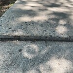 Sidewalk or Curb - Repair at 120 Garrison Sq SW
