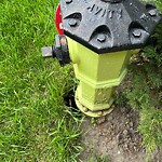 Fire Hydrant Concerns at 613 3 Av NW