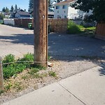 Fence or Structure Concern - City Property at 71 Tararidge Co NE