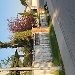 Fence or Structure Concern - City Property at Covehaven Gardens NE Coventry Hills Calgary