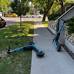 E-Scooter  - Abandoned / Parking Concerns at 2419 Erlton Rd SW