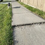 Sidewalk or Curb - Repair at 96 Chapman Rd SE