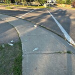Debris on Street, Sidewalk, Boulevard at 2486 Catalina Bv NE