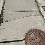 Sidewalk or Curb - Repair at 8198 Edgemont Bv NW