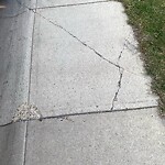 Sidewalk or Curb - Repair at 118 Saddlecrest Cr NE