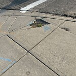 Sidewalk or Curb - Repair at 1403 26 St SW