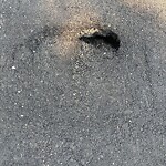 Pothole Repair at 2 Discovery Ri SW