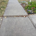 Sidewalk or Curb - Repair at 135 Hawksbrow Dr NW