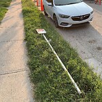 Sign on Street, Lane, Sidewalk - Repair or Replace at 1443 19 Av SW