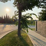 Tree Maintenance - City Owned at 4 Aspen Summit Pt SW