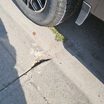 Sidewalk or Curb - Repair at 215 Deersaxon Ci SE