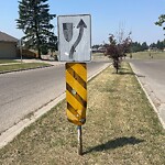 Sign on Street, Lane, Sidewalk - Repair or Replace at 123 Pump Hill Cr SW