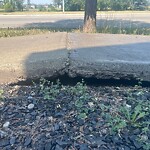 Sidewalk or Curb - Repair at 69 Cranford Dr SE
