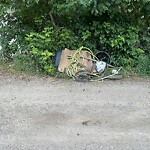 Debris on Backlane at 821 23 Av NW