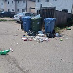 Debris on Backlane at 10 Tarawood Ln NE