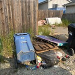 Debris on Backlane at 167 Tarawood Rd NE