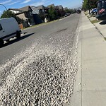 Debris on Street, Sidewalk, Boulevard at 204 Evansborough Cr NW