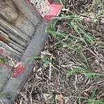 Debris on Backlane at 112 18 Av NE