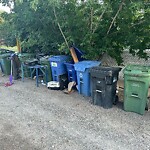 Debris on Backlane at 1615 12 Av SW