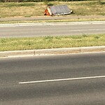 Debris on Street, Sidewalk, Boulevard at 708 Cedarille Wy SW