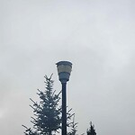 Streetlight Damage at 118 Everoak Gd SW