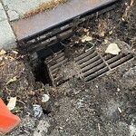 Catch Basin / Storm Drain Concerns at 2903 Centre St NW