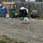 Debris on Backlane at 80 Martinbrook Rd NE