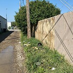 Debris on Backlane at 4608 17 Av SE