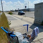 Debris on Street, Sidewalk, Boulevard at 1740 54 St SE