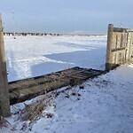 Fence or Structure Concern - City Property at Chaparral St SE Chaparral Calgary