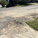 Debris on Street, Sidewalk, Boulevard at 293 Macewan Glen Dr NW