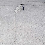 Pothole Repair at 285 Arbour Crest Dr NW