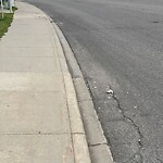 Debris on Street, Sidewalk, Boulevard at 189 Everridge Dr SW