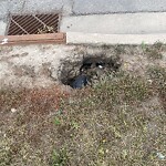 Catch Basin / Storm Drain Concerns at 9 Evanston Wy NW