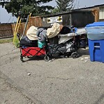 Debris on Backlane at 1615 Mcgonigal Dr NE