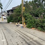 Debris on Backlane at 1443 37 St SW