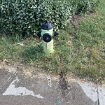 Fire Hydrant Concerns at 143 Penbrooke Cl SE