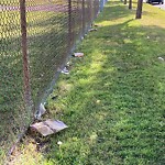 Debris on Street, Sidewalk, Boulevard at 534 24 Av NW