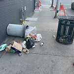 Debris on Street, Sidewalk, Boulevard at 1002 Macleod Tr SE