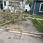 Debris on Street, Sidewalk, Boulevard at 722 14 St SE