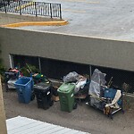 Debris on Backlane at 2002 Kensington Rd NW