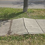 Sidewalk or Curb - Repair at 7827 Ranchero Dr NW