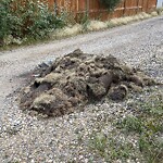 Debris on Backlane at 42 Legacy Gv SE