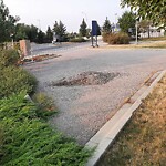 Debris on Street, Sidewalk, Boulevard at 15 Scotia Ld NW