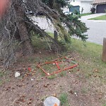 Debris on Street, Sidewalk, Boulevard at 64 Scenic Cove Ci NW